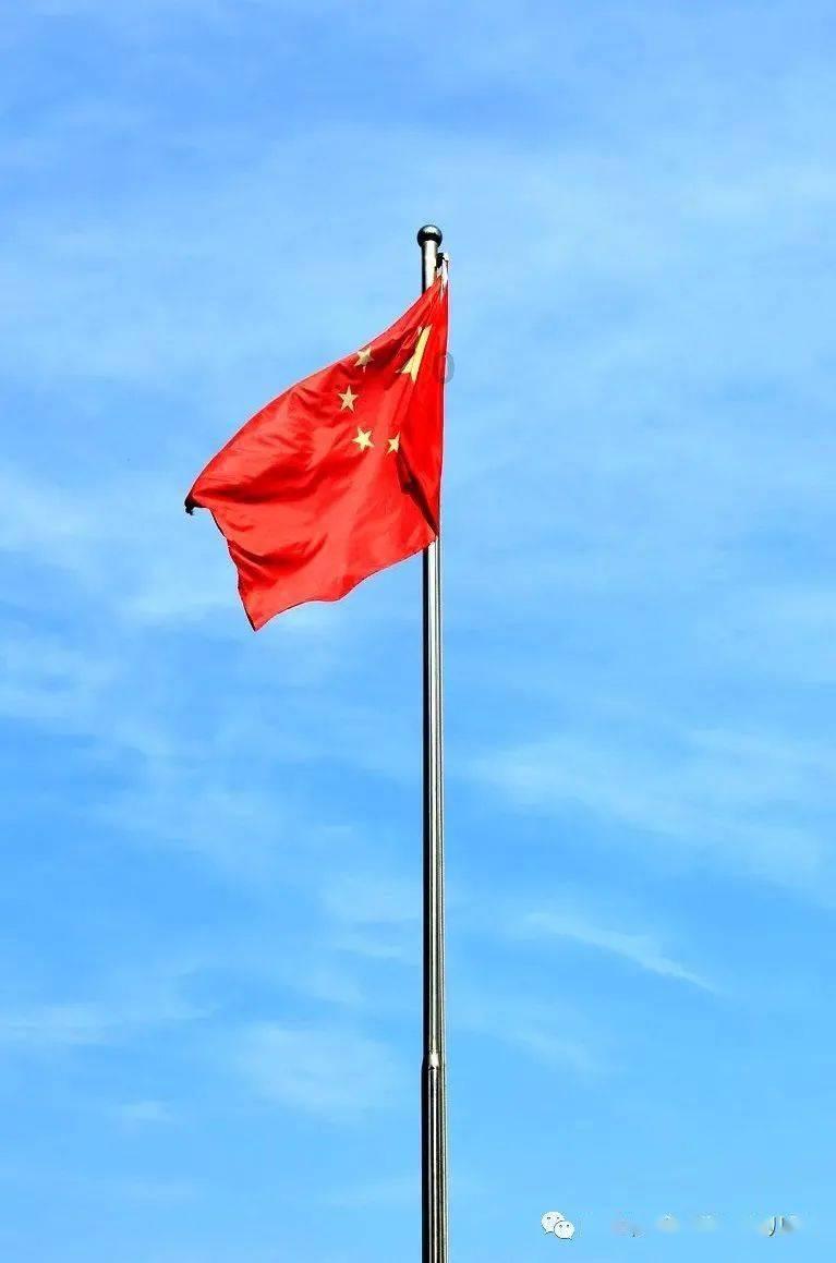 家里的黑色小甲壳虫怎么杀死?游戏画面